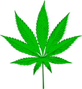cannabis-proposta-di-legge