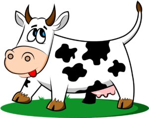 cow-1501690_1280